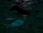In-Game Screenshot - 21